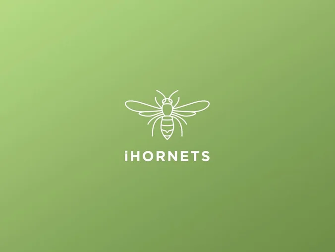 App mòbil de monitoratge iHornets