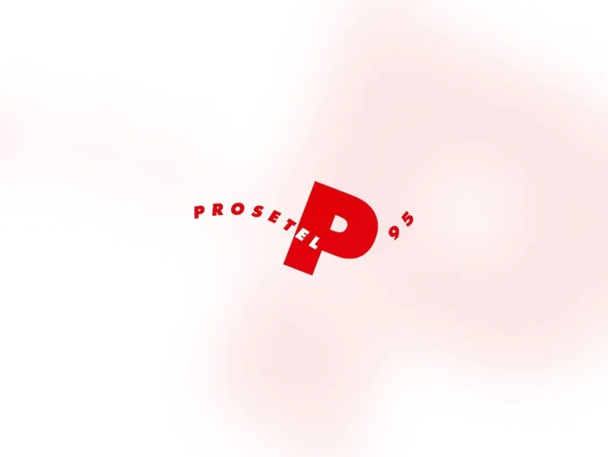 Software de planificació de compres Prosetel95