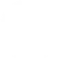 Electron