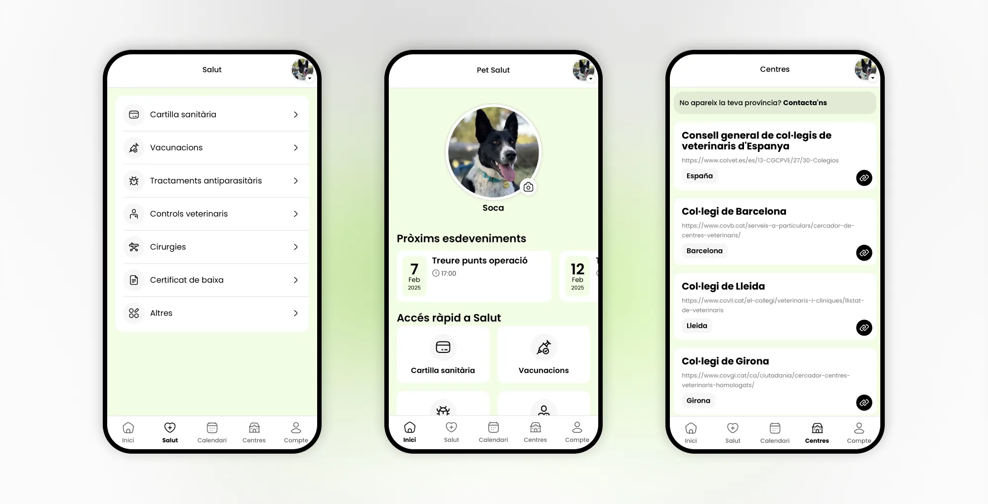 Pantalles de l'app Pet Salut amb historial i properes visites